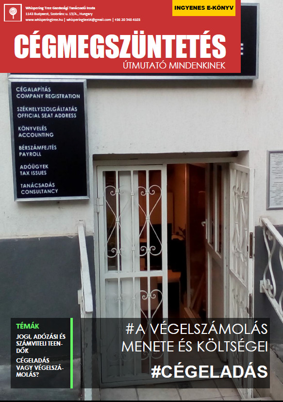 Végelszámolás, cégmegszüntetés